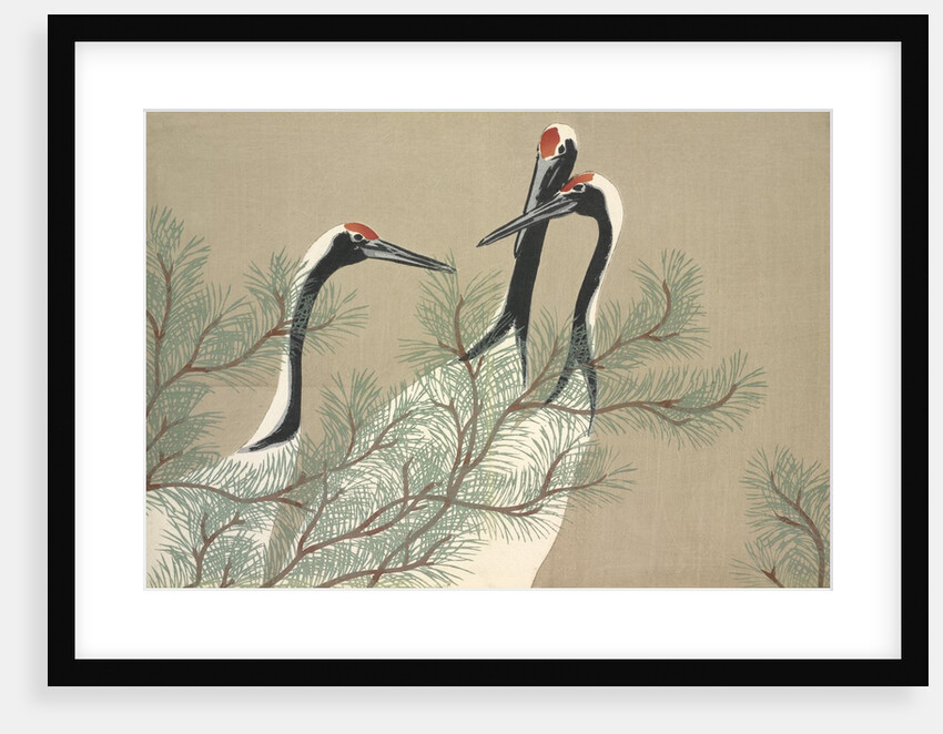 Tsuru by Anonymous