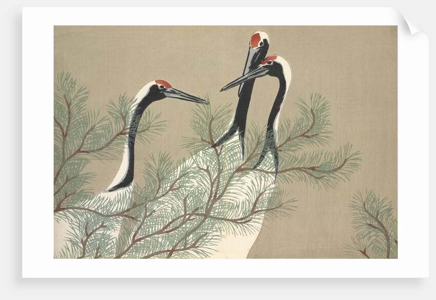 Tsuru by Anonymous
