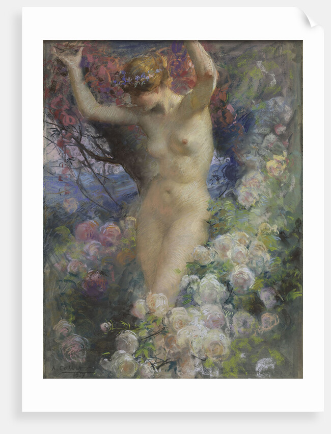 Among the roses (Parmi les roses), 1917 by Anonymous