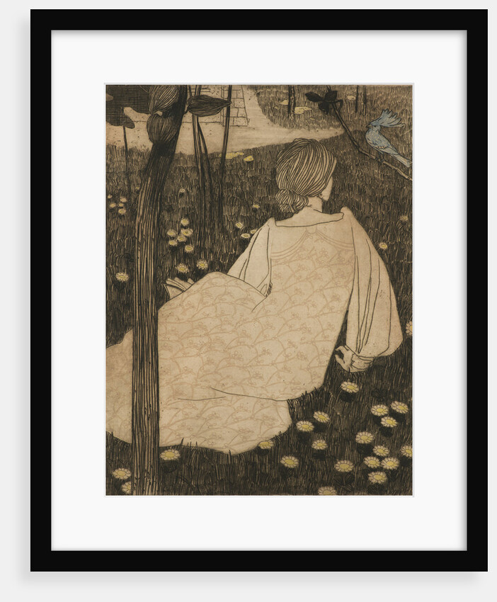 The bluethroat, 1903 by Anonymous