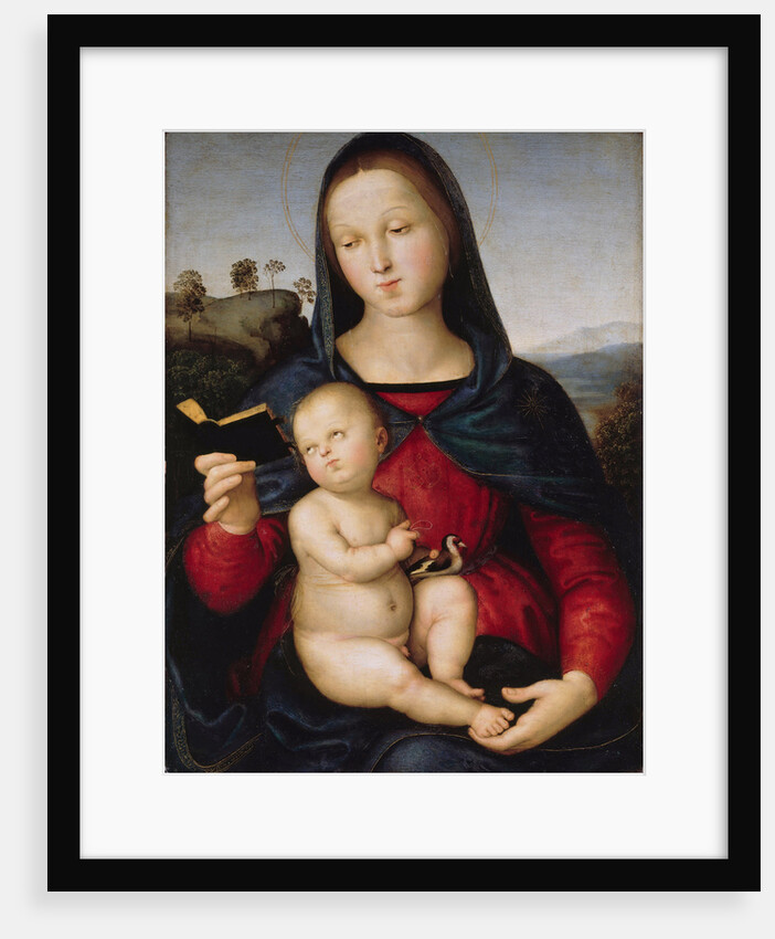 The virgin Mary is reading a book (The Solly Madonna), c. 1502-1503 by Anonymous