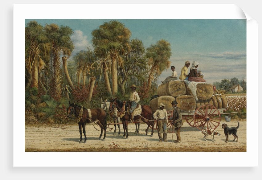 The Cotton Wagon, 1880s by Anonymous