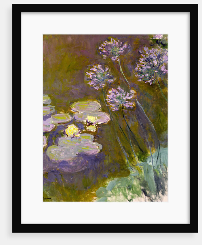 Water Lilies and Agapanthus, 1914-1917 by Anonymous