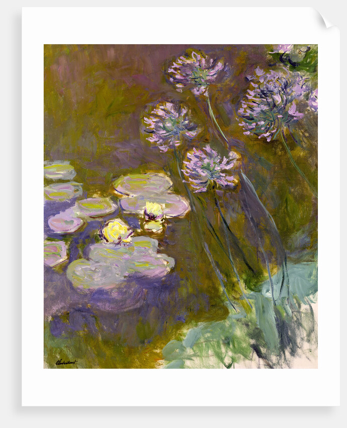 Water Lilies and Agapanthus, 1914-1917 by Anonymous