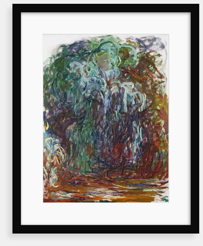 Weeping willow, 1921-1922 by Anonymous