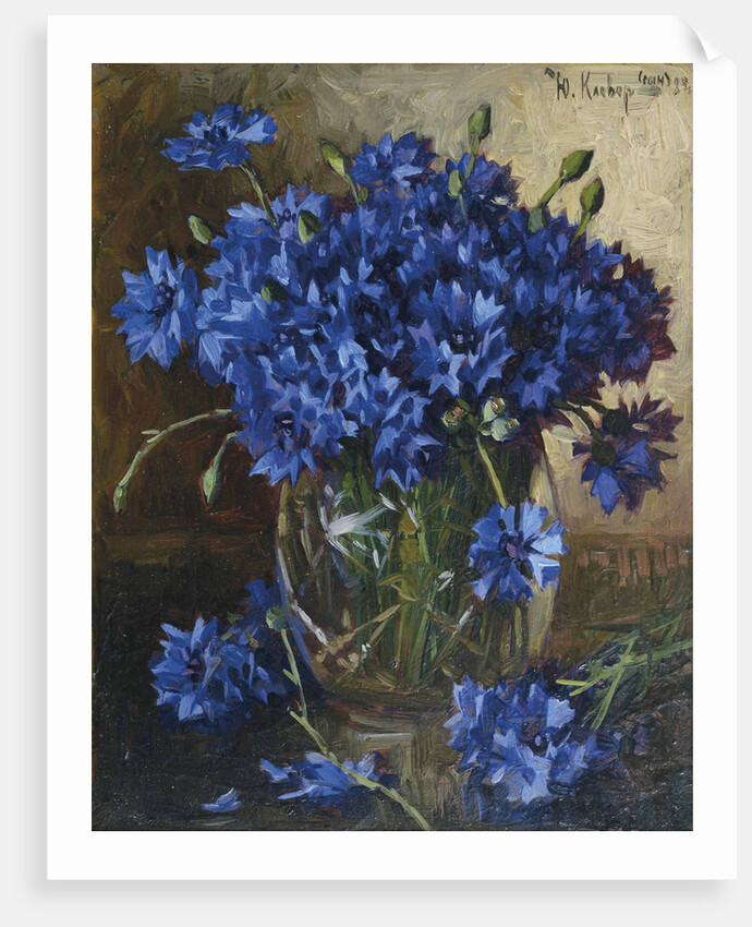 Bouquet of cornflowers, 1935 by Anonymous
