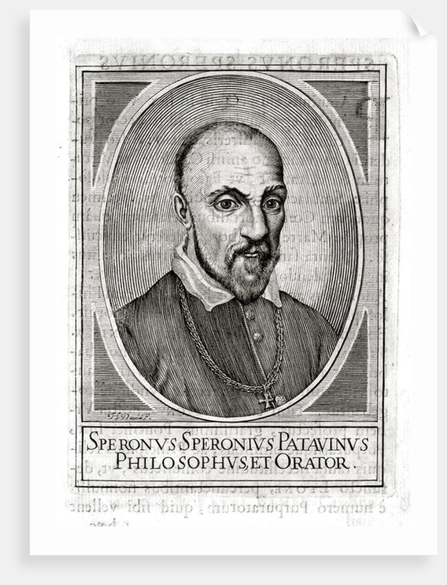Portrait of Sperone Speroni by Anonymous