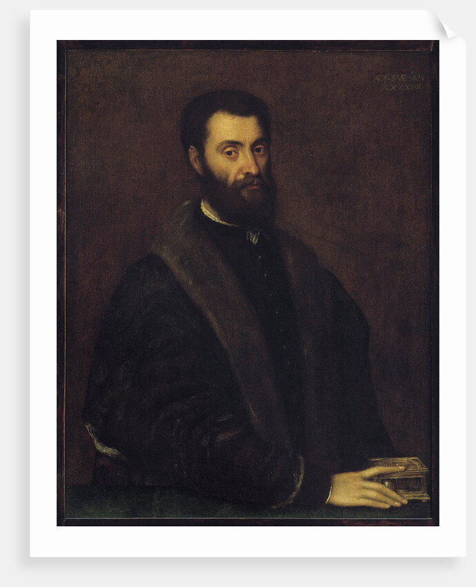 Portrait of Sperone Speroni by Anonymous