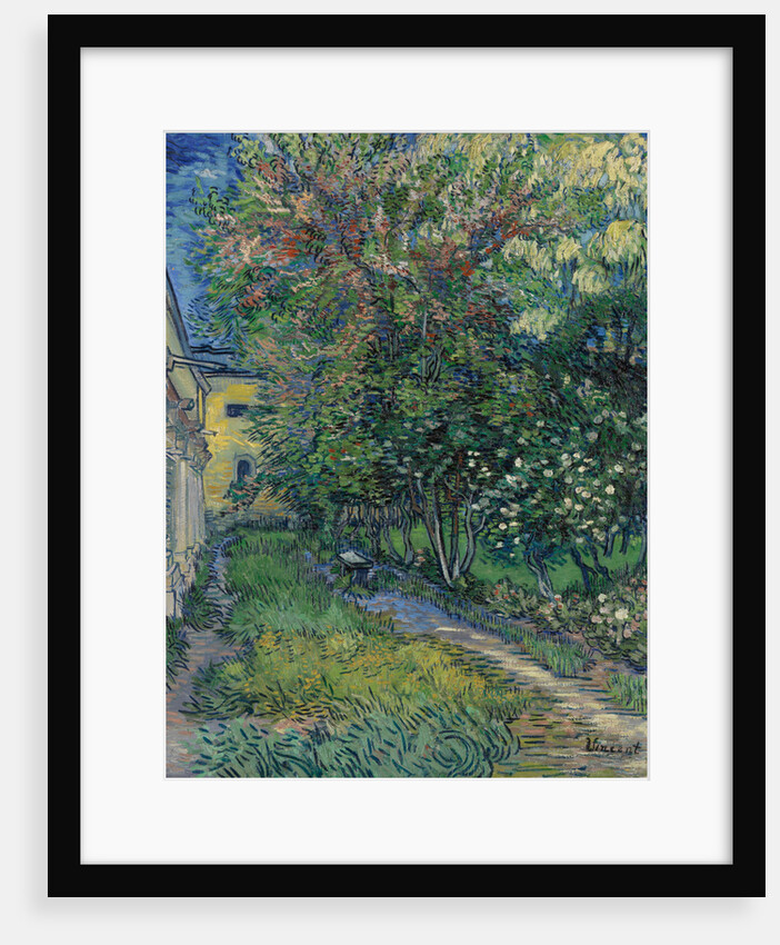 The garden at the asylum at Saint-Rémy, 1889 by Anonymous
