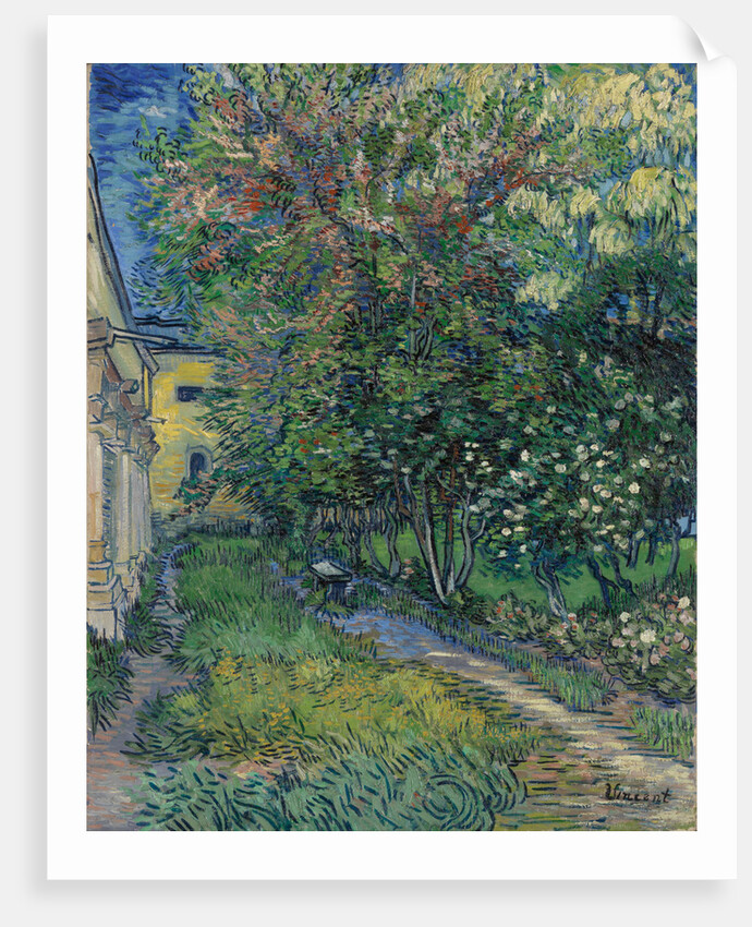 The garden at the asylum at Saint-Rémy, 1889 by Anonymous