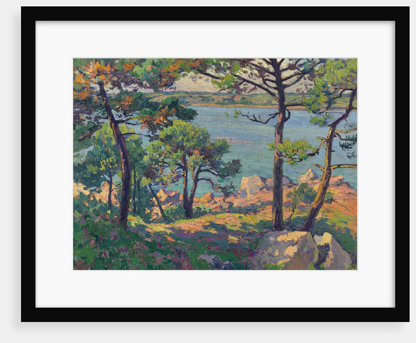 Pines over the Trieux river, 1913 by Anonymous