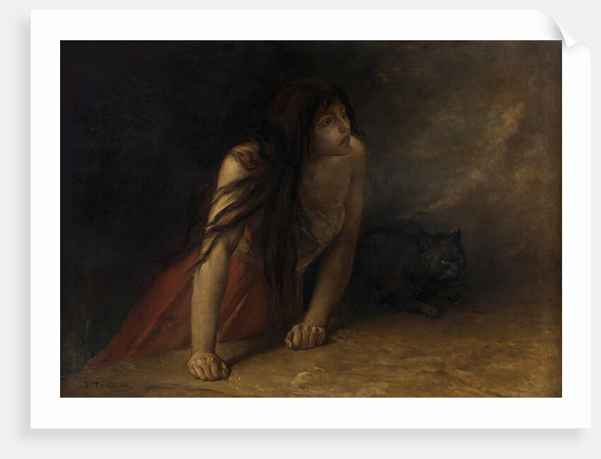 The Witch by Anonymous