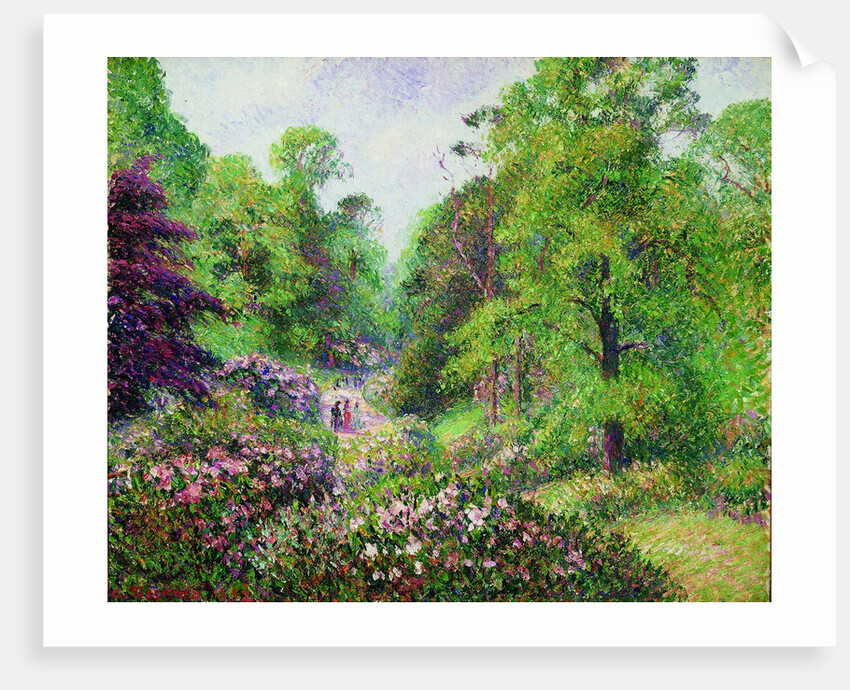 Kew Gardens, Rhododendron Dell, 1892 by Anonymous