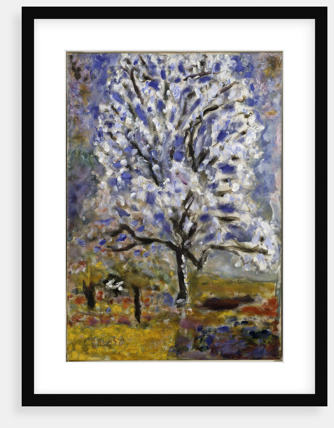 Lamandier en fleurs (The Almond Tree in Blossom), 1947 by Pierre Bonnard