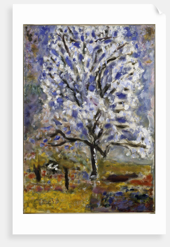 Lamandier en fleurs (The Almond Tree in Blossom), 1947 by Pierre Bonnard