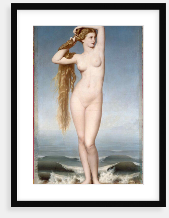The Birth of Venus, 1862 by Anonymous