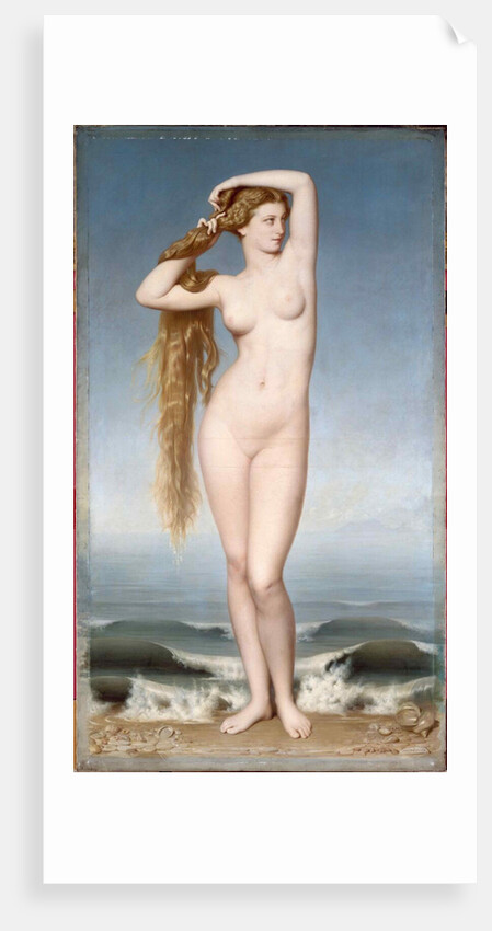 The Birth of Venus, 1862 by Anonymous