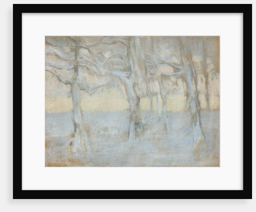 Trees, 1895 by Anonymous