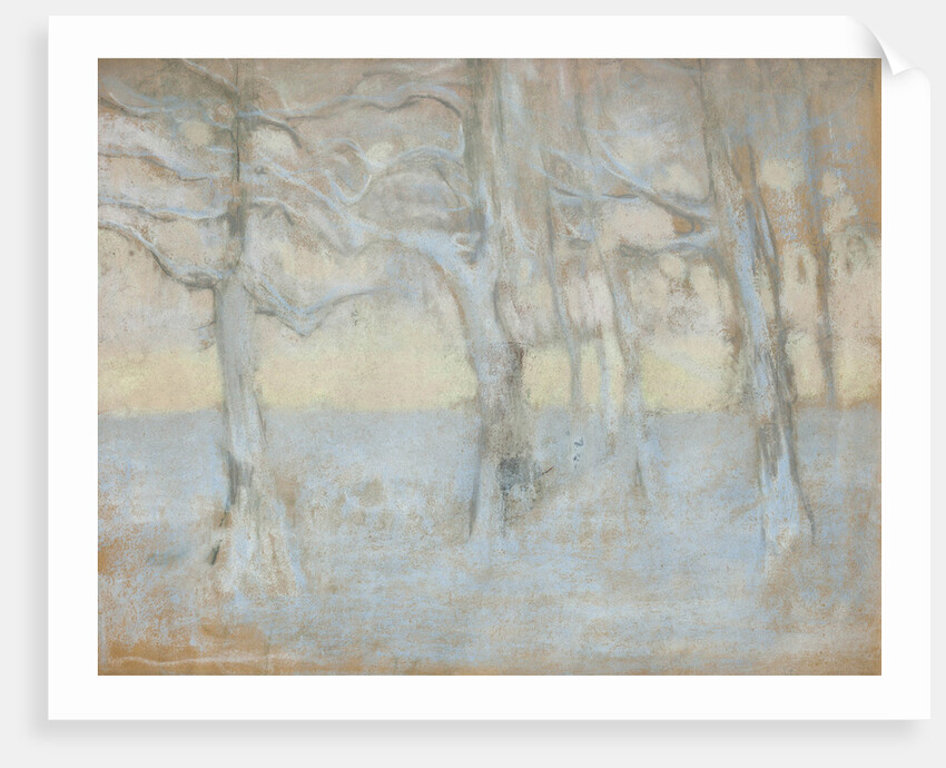 Trees, 1895 by Anonymous
