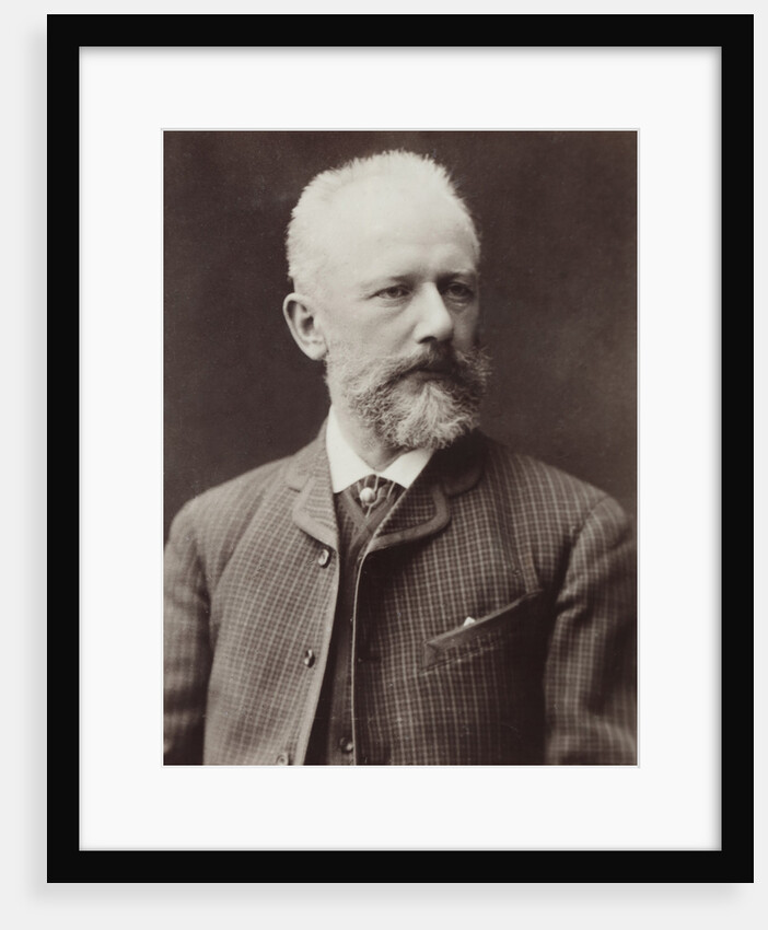 Portrait of the composer Pyotr Ilyich Tchaikovsky, 1887 by Anonymous
