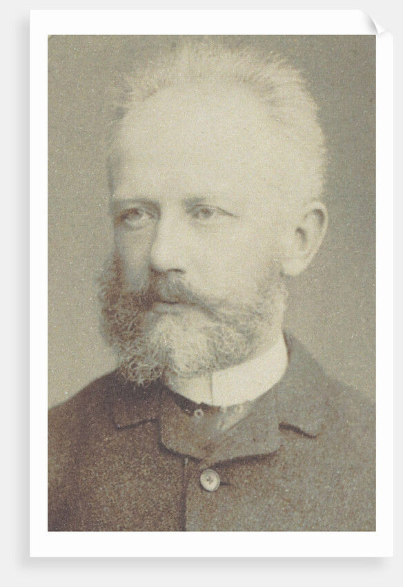 Portrait of the composer Pyotr Ilyich Tchaikovsky, 1884 by Anonymous