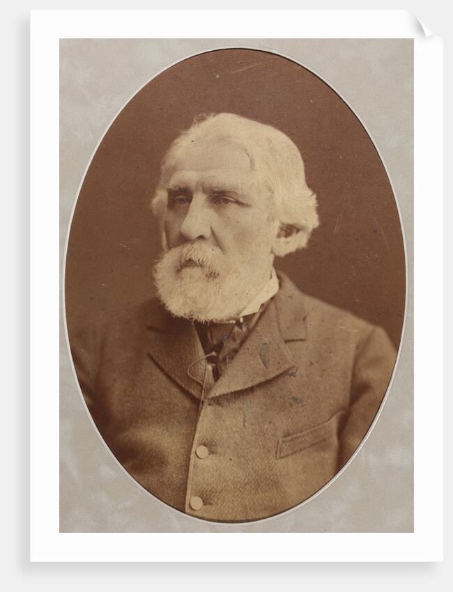 Portrait of the author Ivan Sergeyevich Turgenev, 1879 by Anonymous