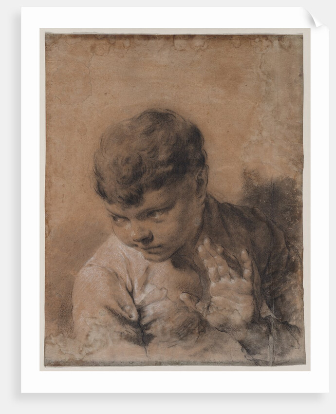 A Portrait of the Artist's Son Giacomo, c. 1735 by Giovanni Battista Piazzetta