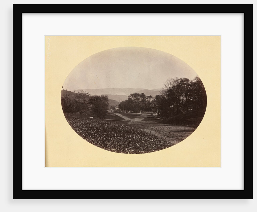 A Road in Williamstown, c. 1870 by George K. Warren