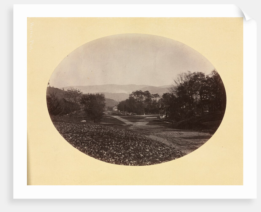 A Road in Williamstown, c. 1870 by George K. Warren