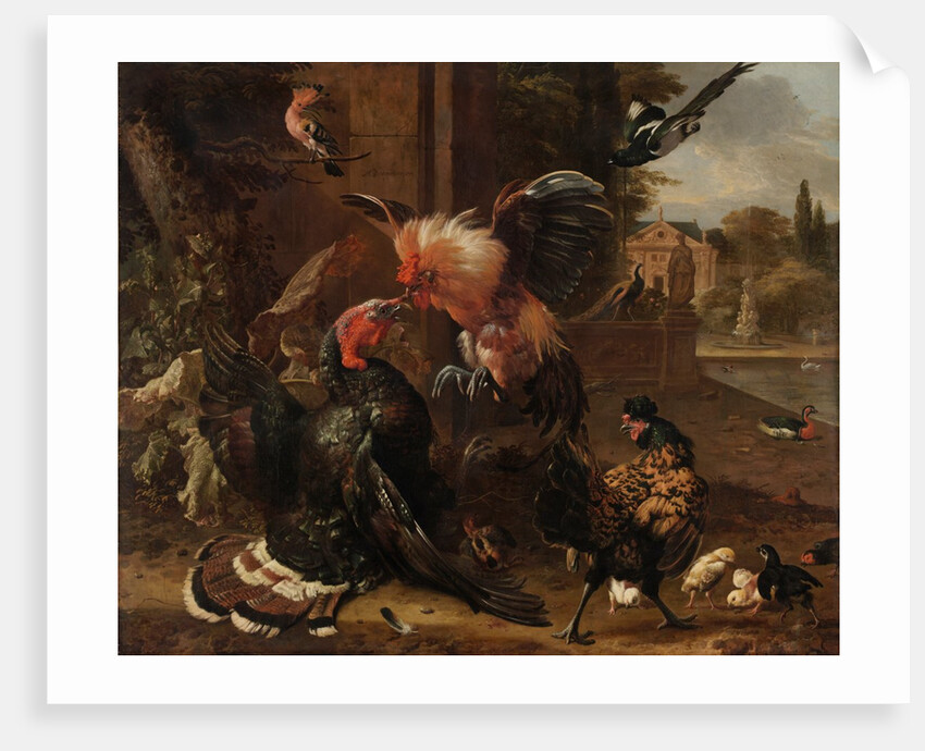 A Rooster and Turkey Fighting, c. 1680 by Melchior de Hondecoeter