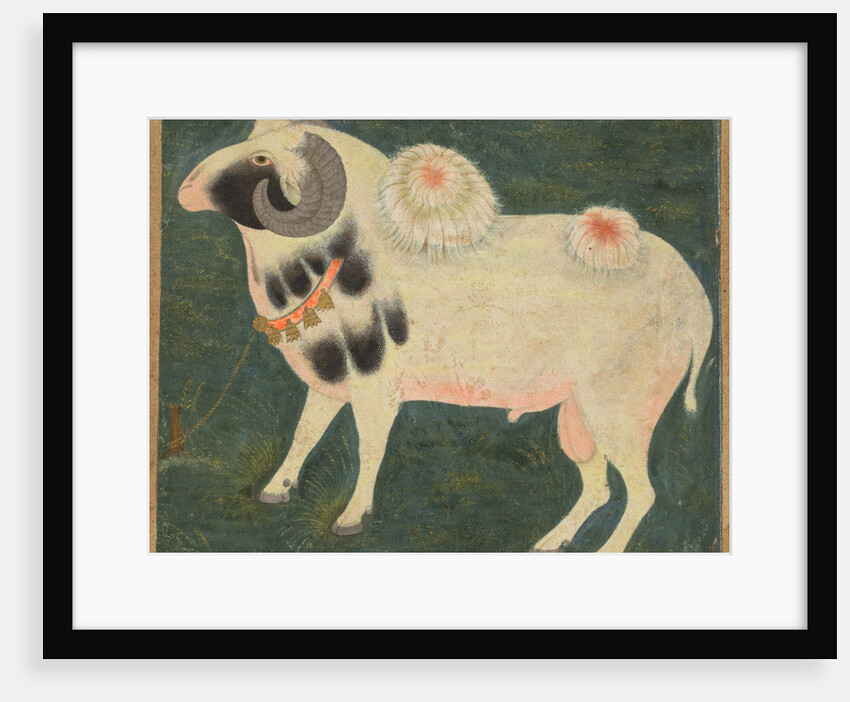 A royal ram with a gold chain, c. 1585; border added probably 1700s by Unknown