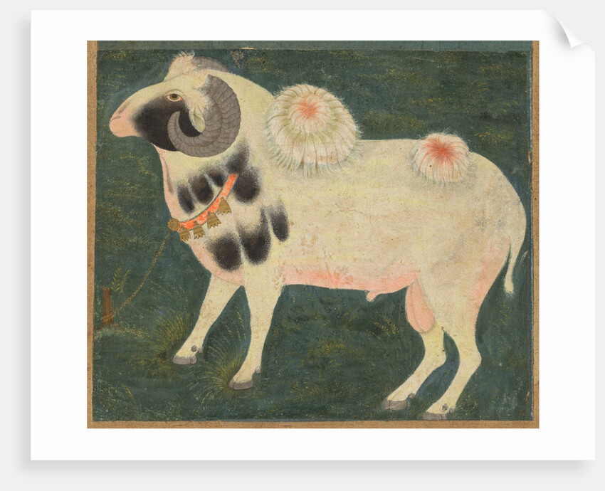 A royal ram with a gold chain, c. 1585; border added probably 1700s by Unknown