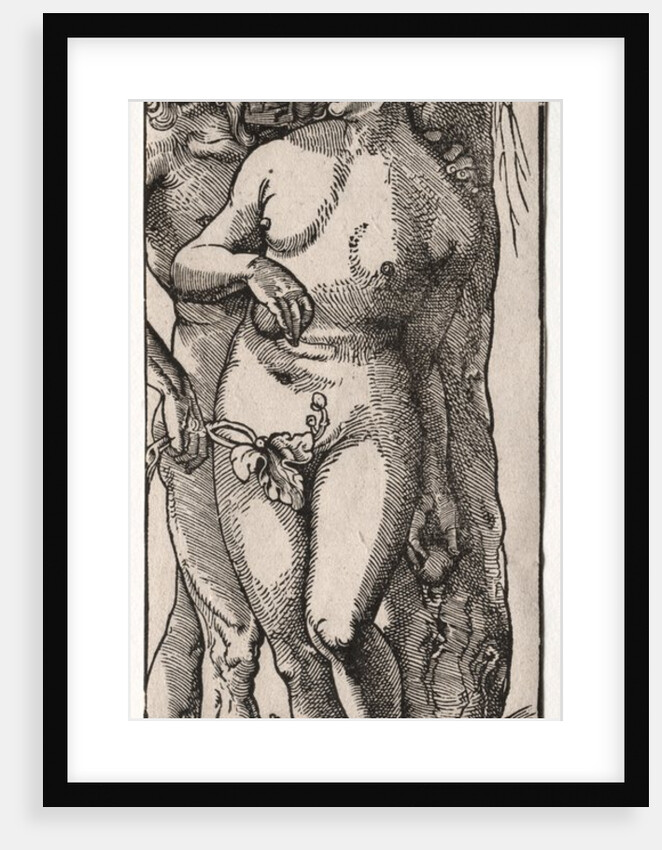 Adam and Eve, 1519 by Hans Baldung