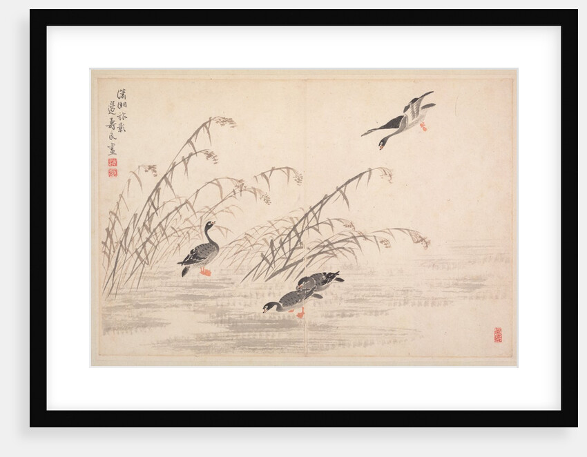 Album of Calligraphy and Paintings, 18th Century by Bian Shoumin
