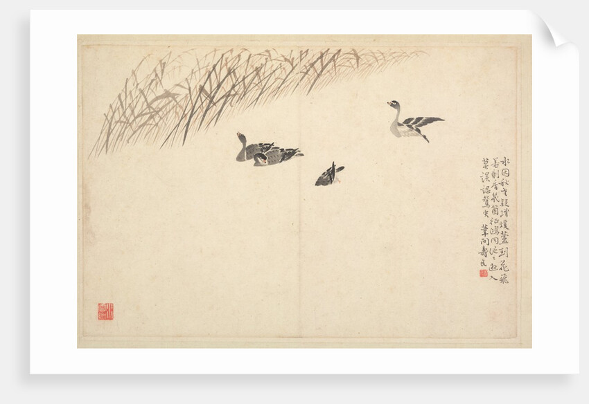 Album of Calligraphy and Paintings, 18th Century by Bian Shoumin