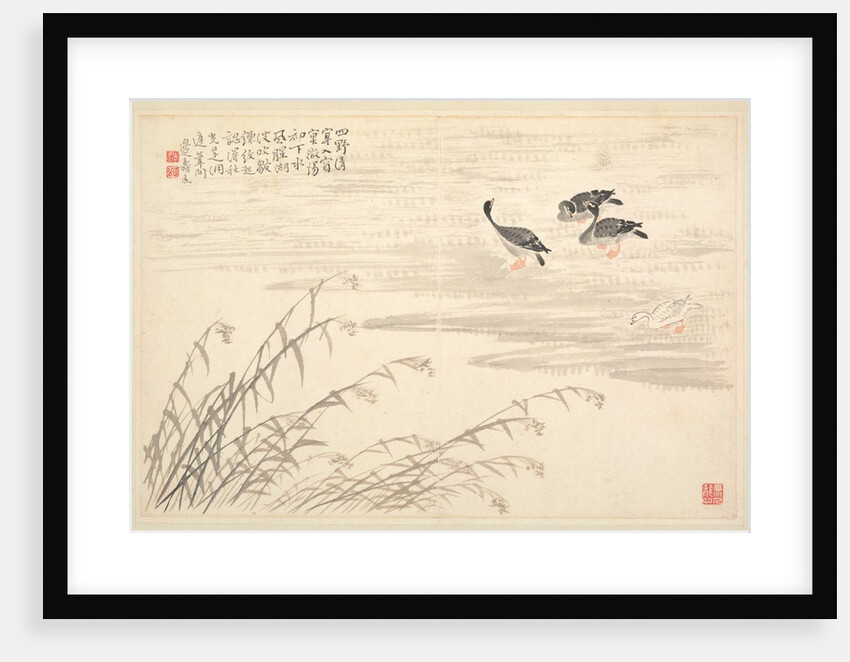 Album of Calligraphy and Paintings, 18th Century by Bian Shoumin