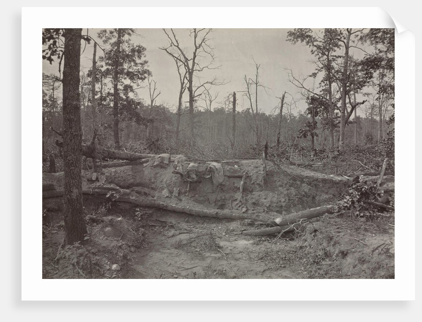 Battlefield of New Hope Church, Georgia, No. 2, 1865-1866 by George N. Barnard