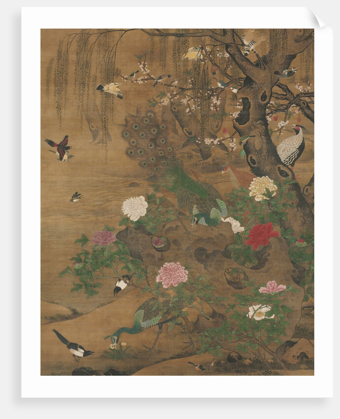 Birds Gather under the Spring Willow, late 1400s-early 1500 by Yin Hong