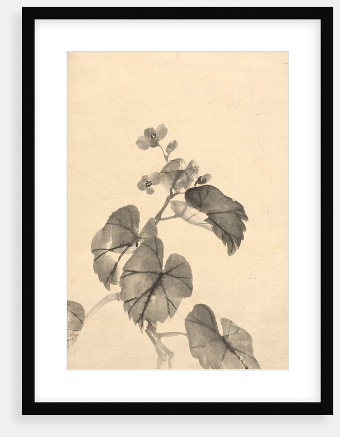 Branch of Begonia in Bloom by Kono Bairei