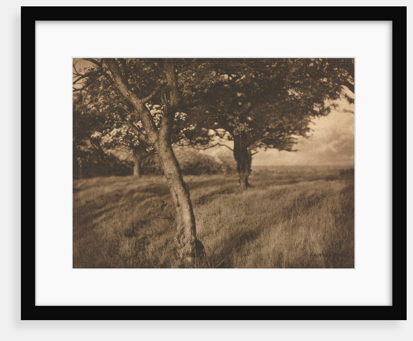 Camera Work: Beyond, 1905 by A. Horsley Hinton