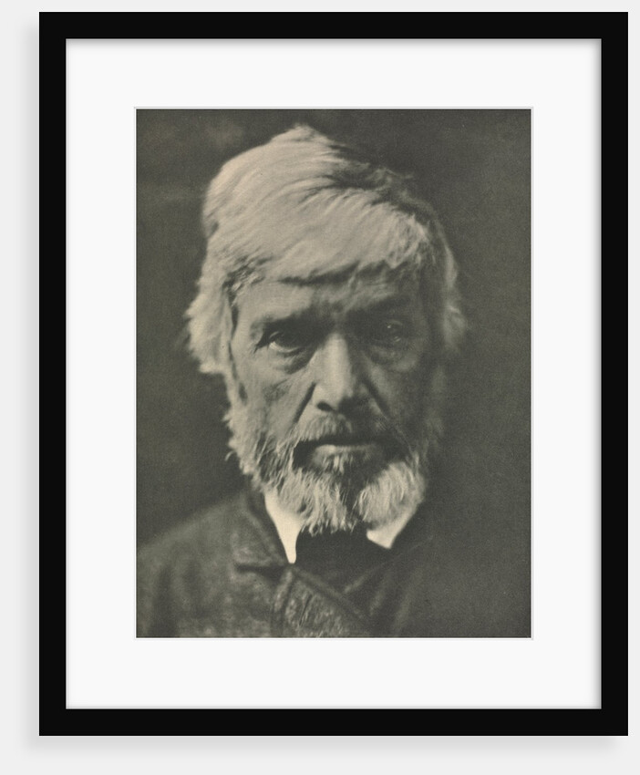 Camera Work: Carlyle, 1913 by Julia Margaret Cameron
