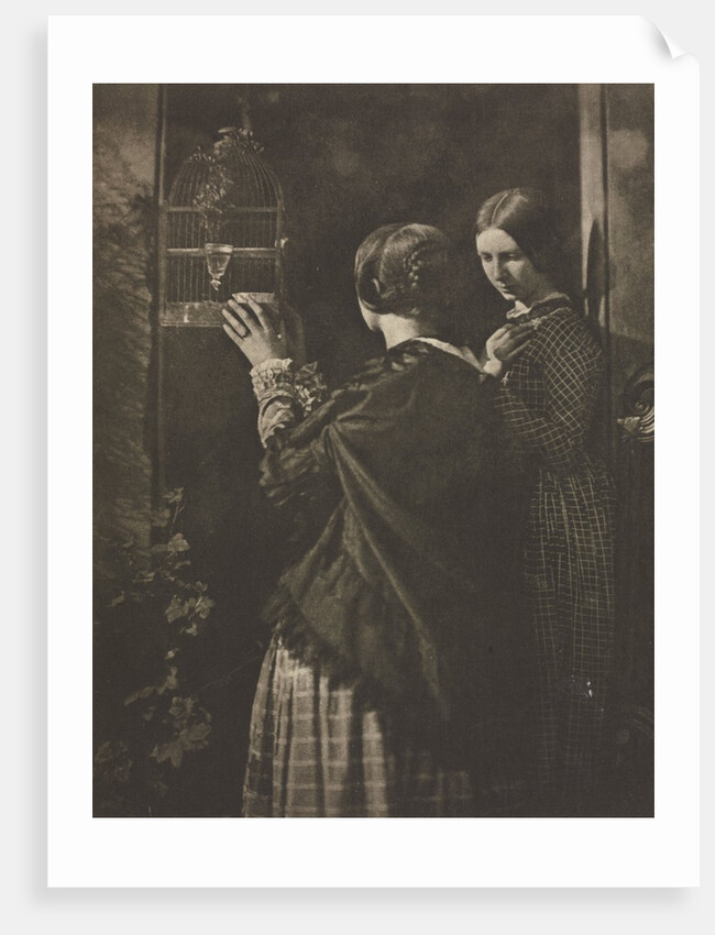 Camera Work: The Bird-Cage, 1909 by David Octavius Hill; Robert Adamson