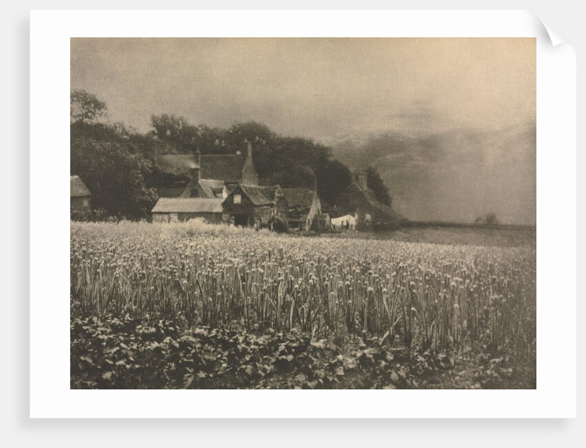 Camera Work: The Onion Field - 1890, 1890 by George Davison