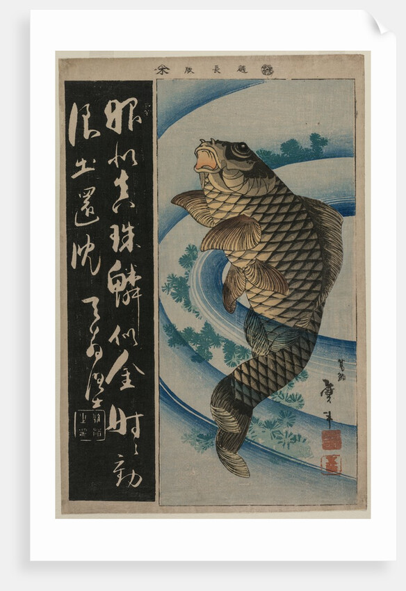 Carp and Waterweeds, c. early 1830s by Katsushika Taito II