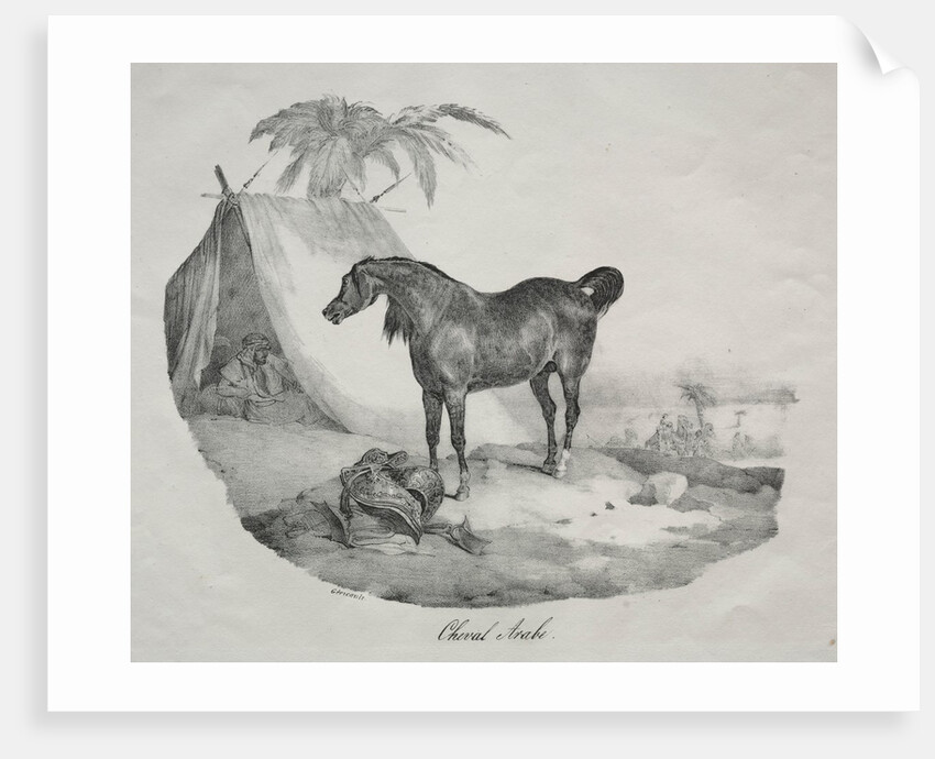 Cheval Arabe by Théodore Géricault