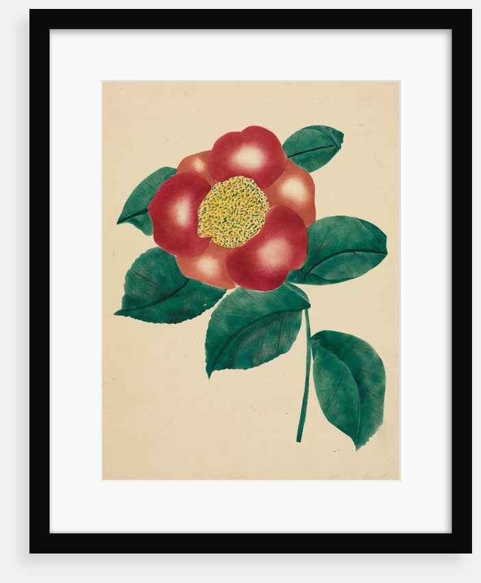 Chinese Flower by Mary Altha Nims