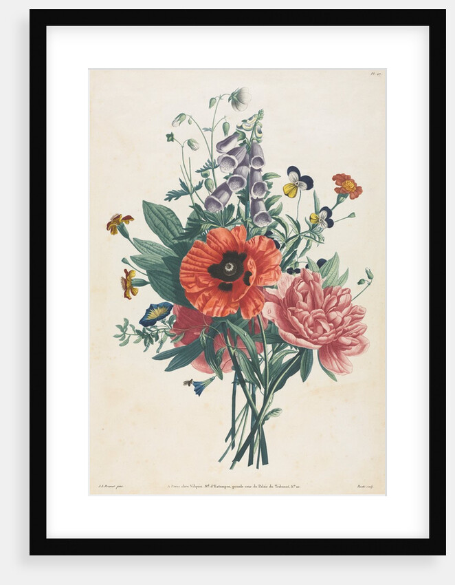 Collection of Flowers and Fruits Painted after Nature: Bouquet of Foxglove, Clematis…, 1805 by Louis Charles Ruotte; Jean Louis Prévost