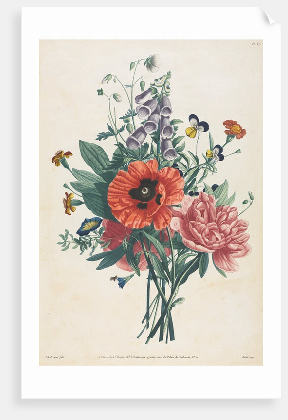 Collection of Flowers and Fruits Painted after Nature: Bouquet of Foxglove, Clematis…, 1805 by Louis Charles Ruotte; Jean Louis Prévost