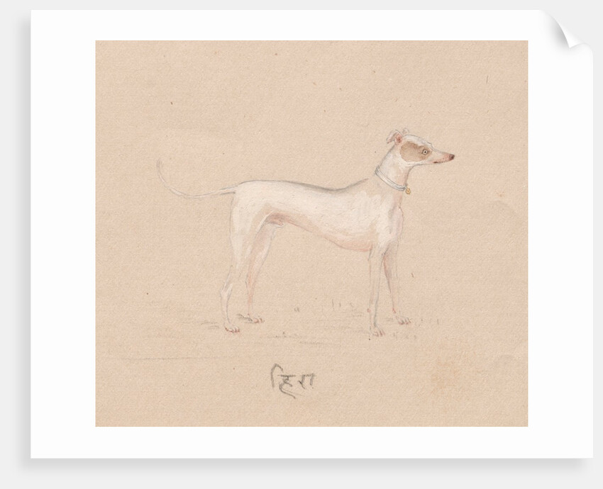 Dog, 1800s by Unknown