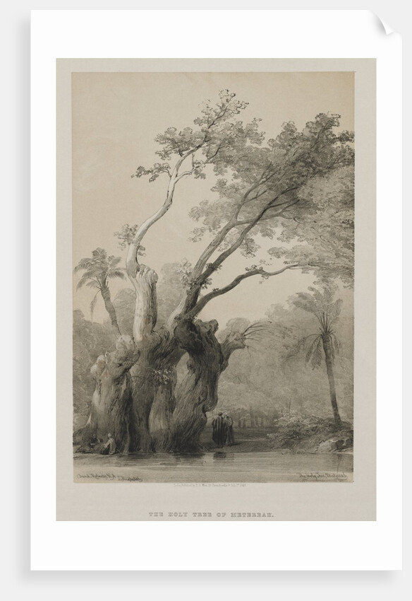 Egypt and Nubia, Volume III: The Holy Tree of Metereah, 1849 by Louis Haghe